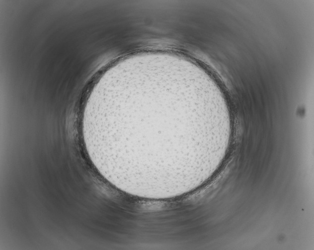 X0000116331211201001131017