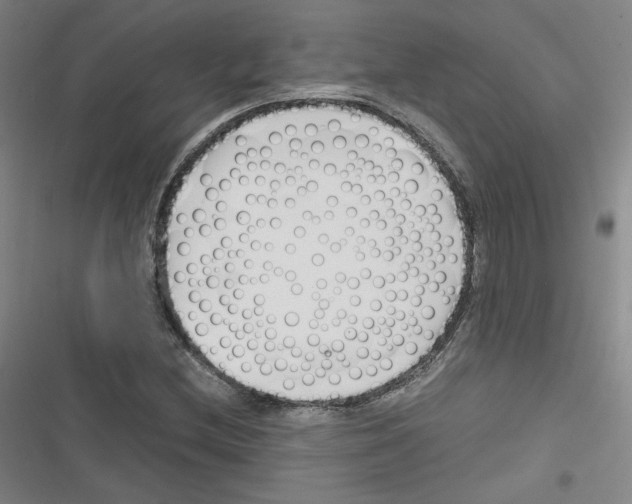 X0000116331212201001131017