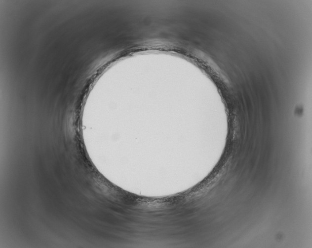 X0000116331213201001131017