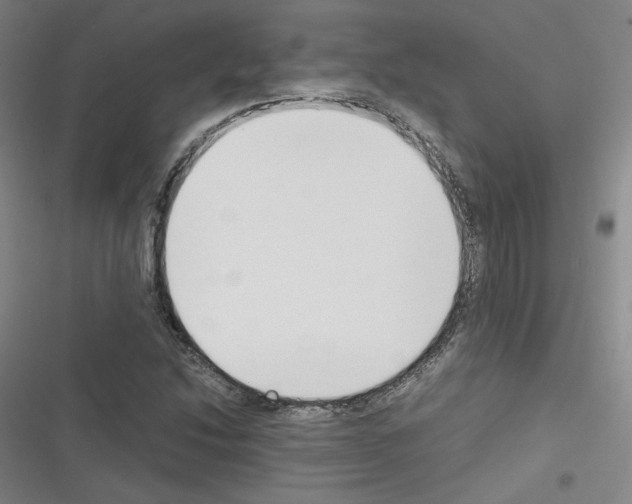 X0000116331214201001131017