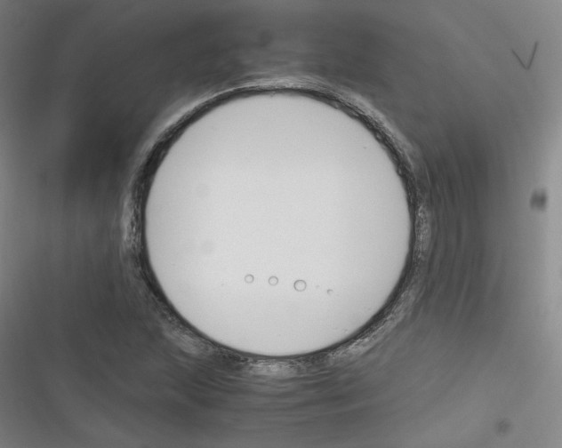 X0000116331215201001131017