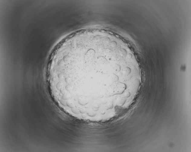 X0000116331216201001131017