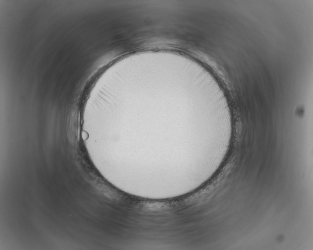 X0000116331219201001131017