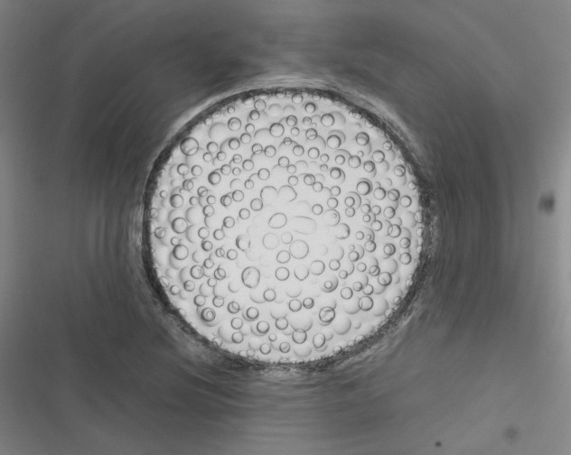 X0000116331220201001131017