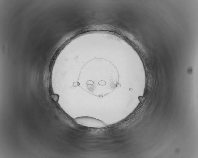 X0000116331221201001131017