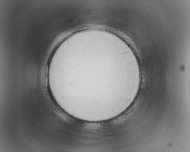 X0000116331223201001131017