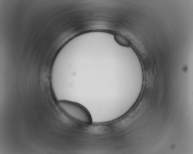 X0000116331225201001131017