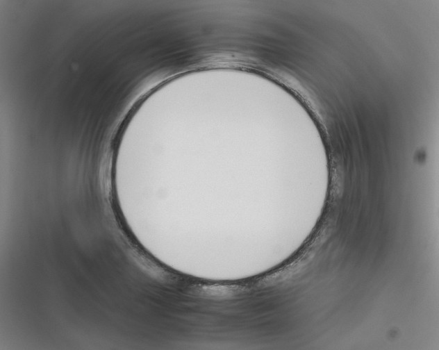 X0000116331227201001131017