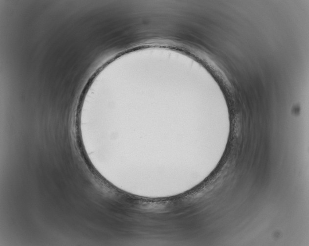 X0000116331229201001131017