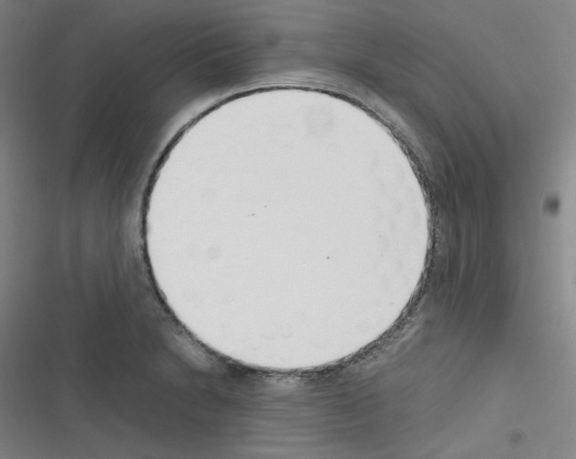 X0000116331230201001131017