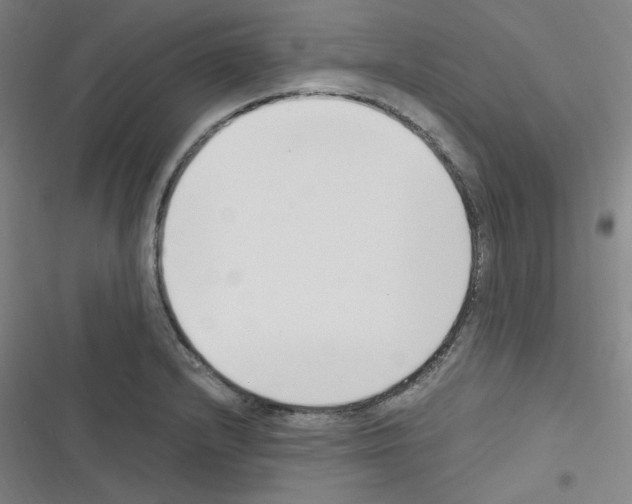 X0000116331232201001131017