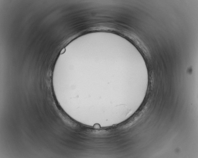 X0000116331233201001131017
