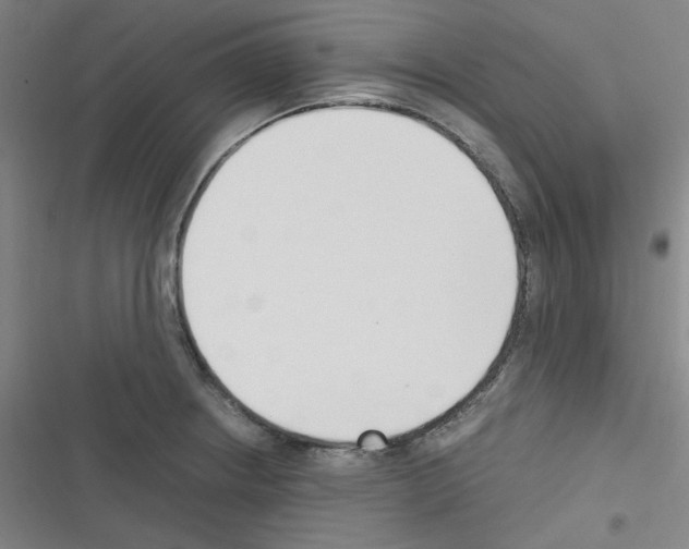 X0000116331234201001131017