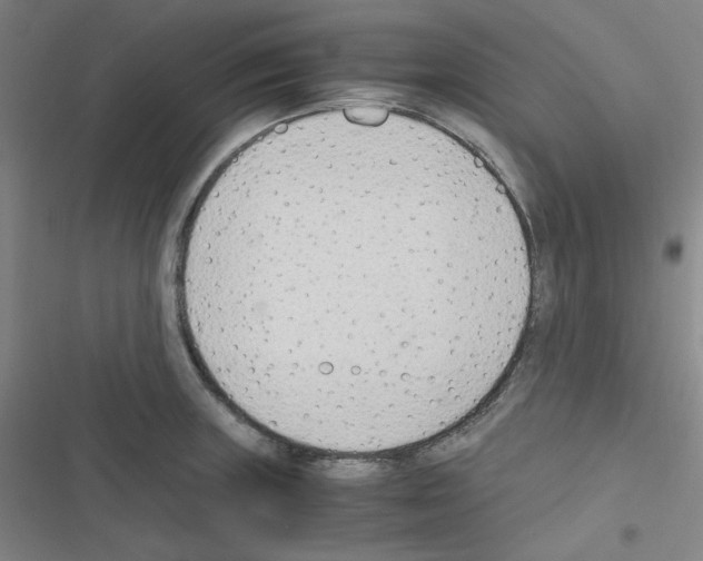 X0000116331235201001131017