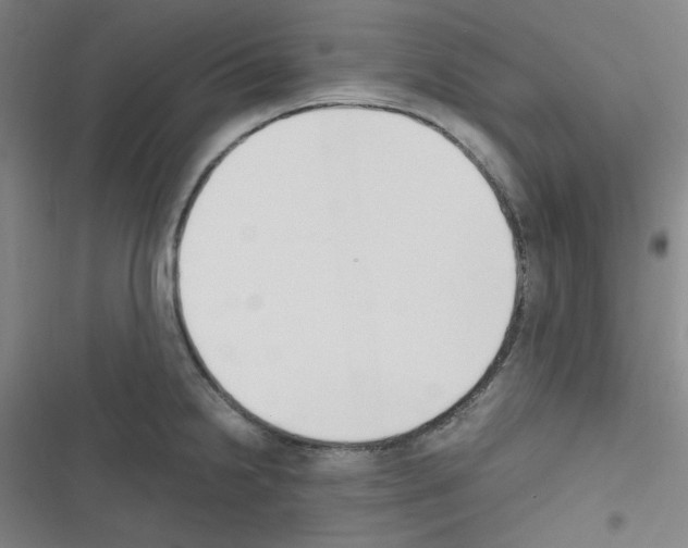 X0000116331238201001131017
