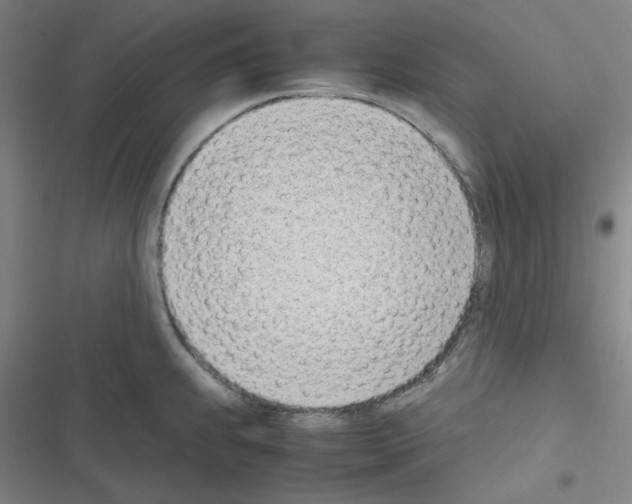 X0000116331239201001131018