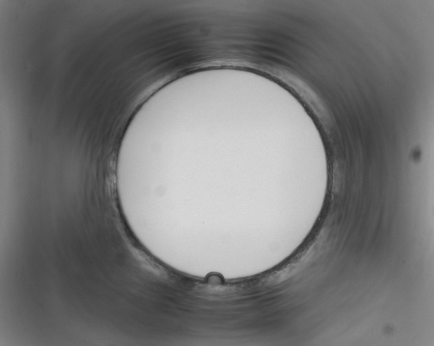 X0000116331241201001131018