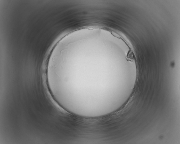 X0000116331243201001131018