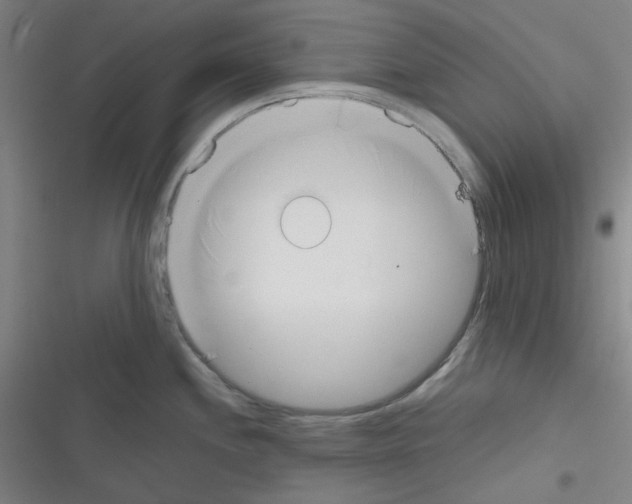 X0000116331244201001131018