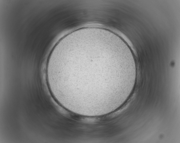 X0000116331245201001131018