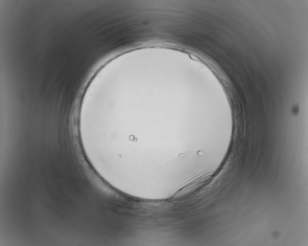 X0000116331246201001131018