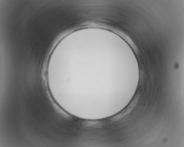 X0000116331247201001131018
