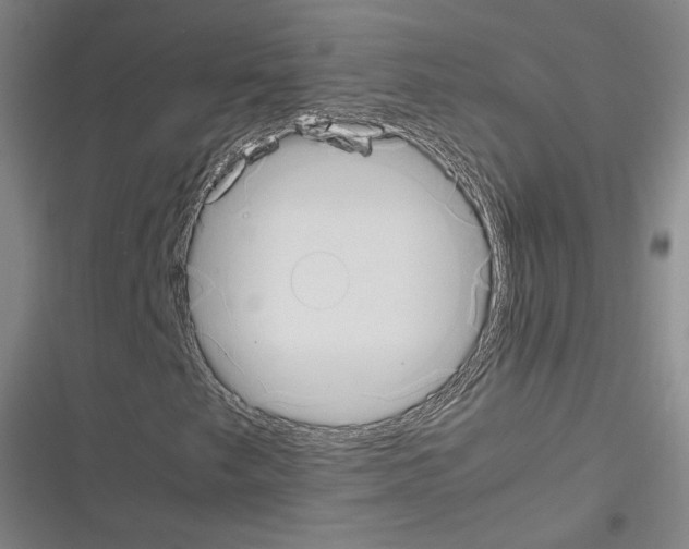 X0000116331249201001131017