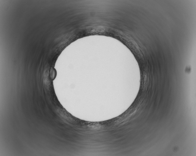 X0000116331250201001131017