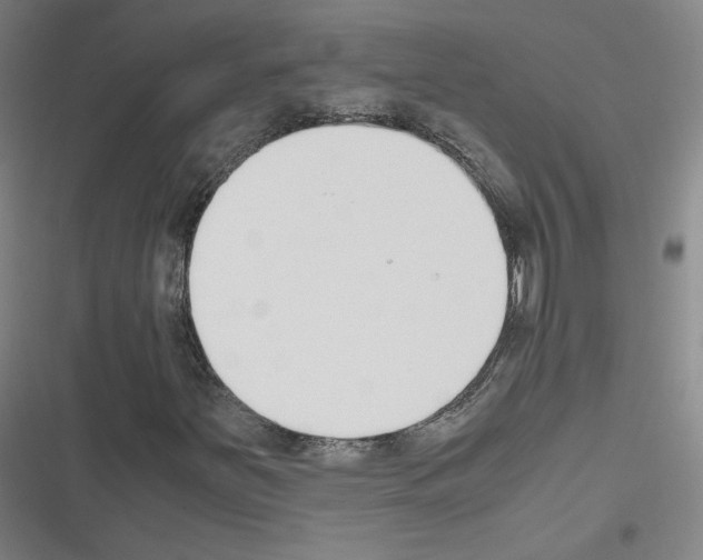 X0000116331251201001131017