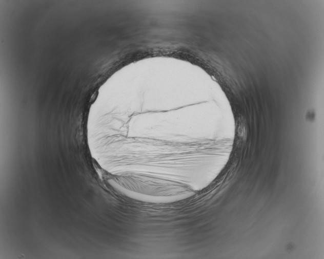 X0000116331252201001131017