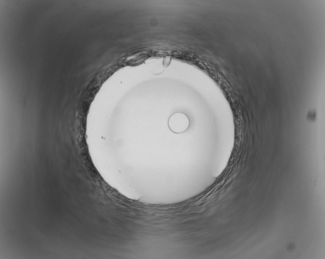X0000116331253201001131017