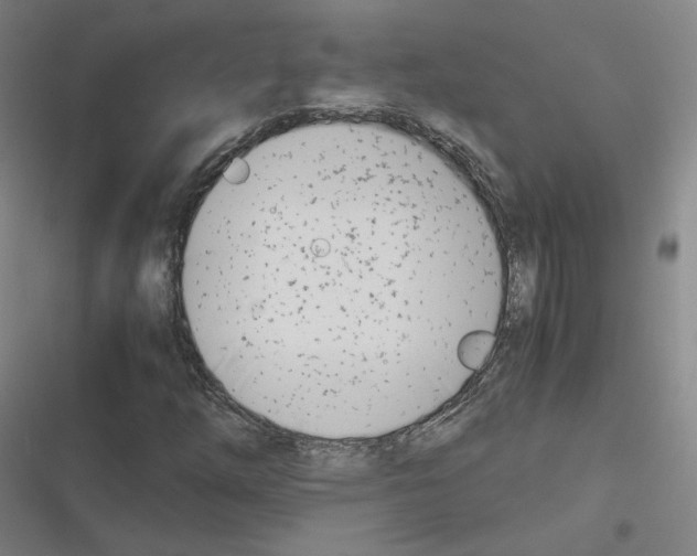 X0000116331254201001131017