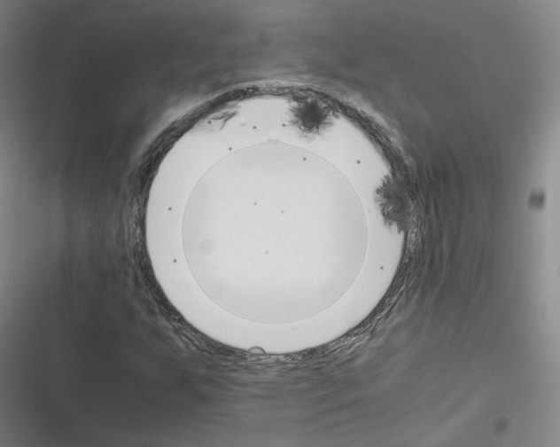 X0000116331255201001131017