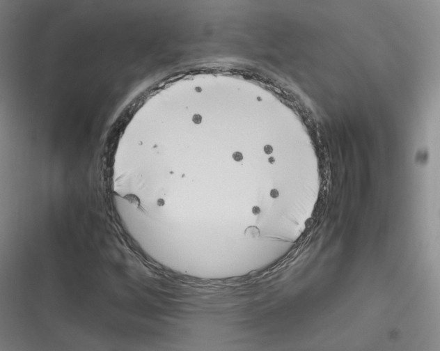 X0000116331256201001131017