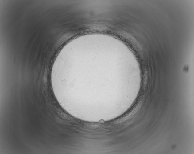 X0000116331257201001131017