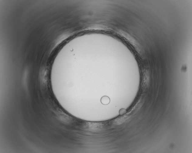 X0000116331258201001131017