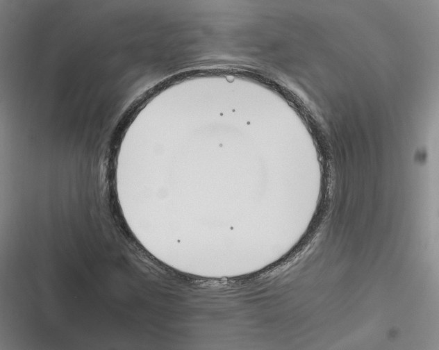 X0000116331259201001131017