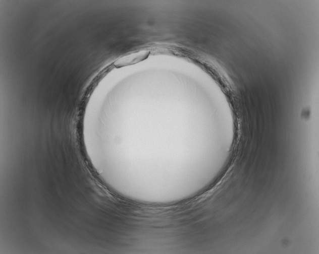 X0000116331260201001131017