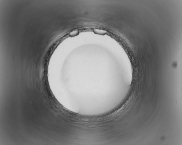 X0000116331261201001131017