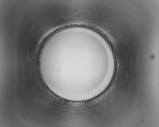 X0000116331262201001131017