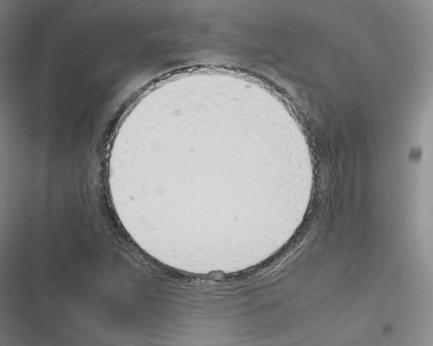 X0000116331263201001131017