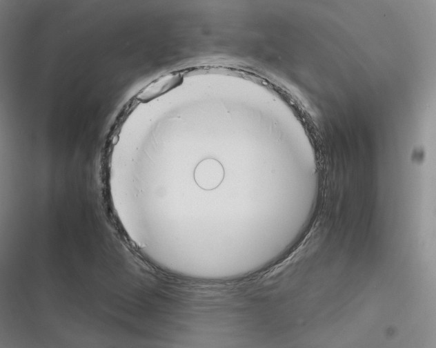 X0000116331264201001131017