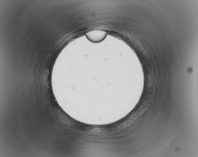 X0000116331265201001131017
