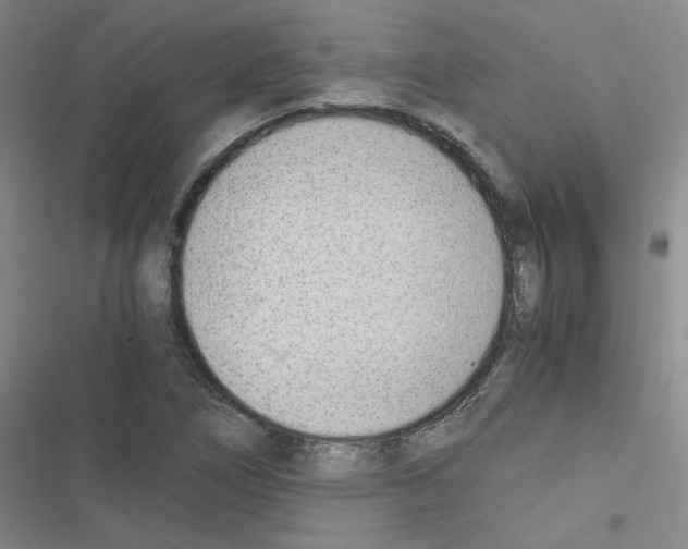 X0000116331266201001131017
