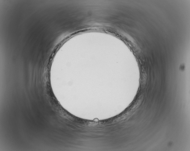 X0000116331267201001131017