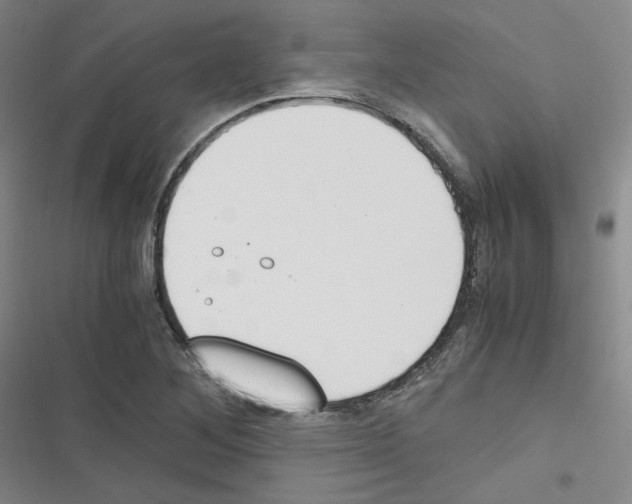 X0000116331268201001131017
