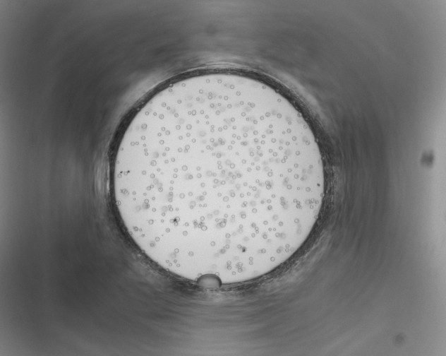 X0000116331269201001131017