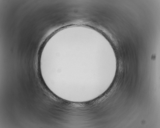 X0000116331270201001131017