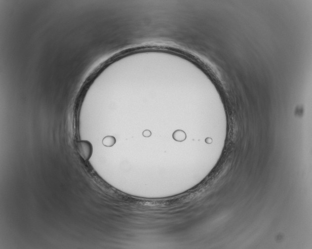 X0000116331271201001131017