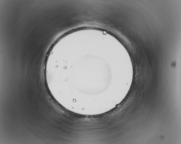 X0000116331272201001131017